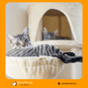 Choosing the Perfect Cat Tree for Large Cats