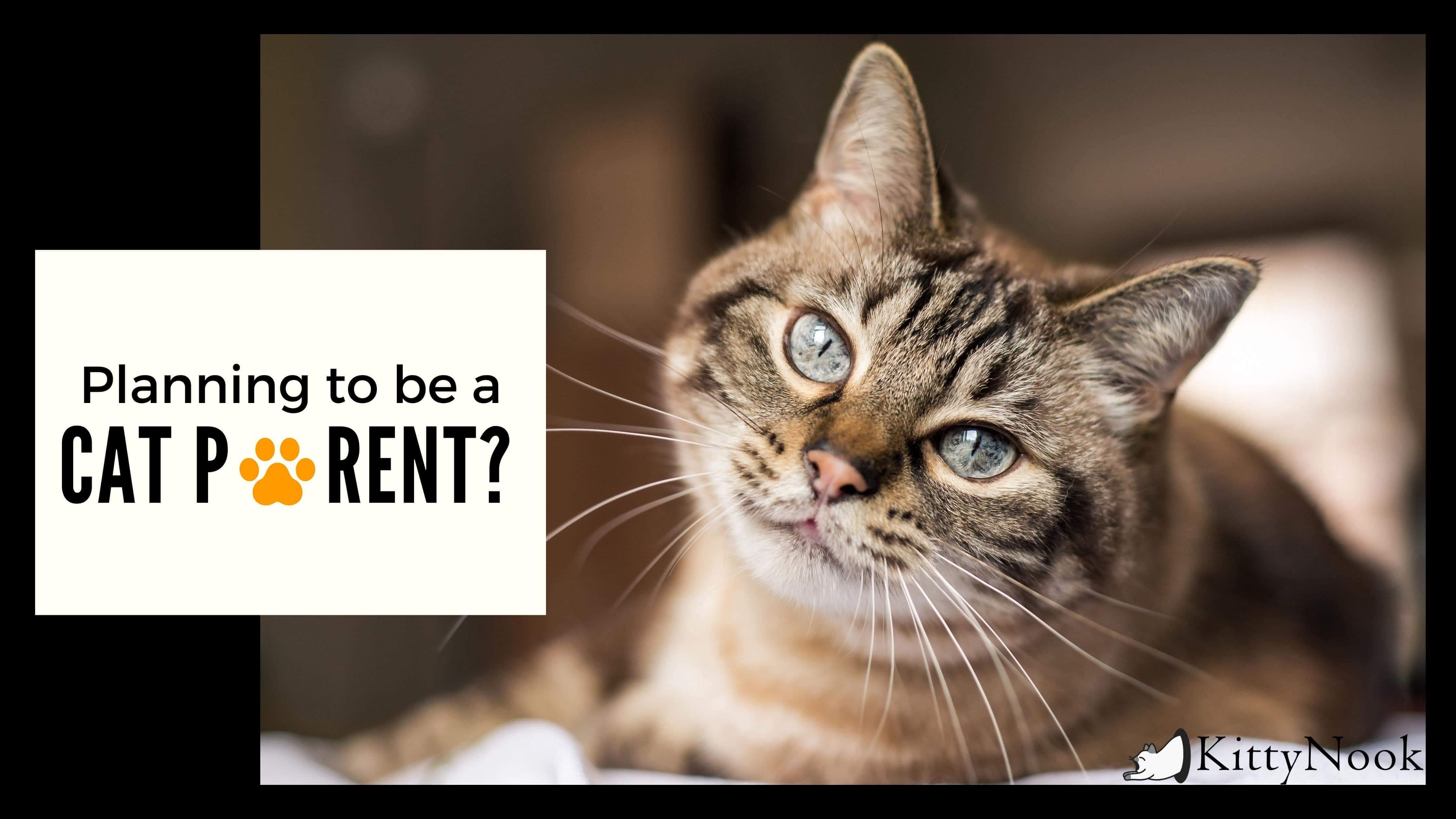 A Fur Parent Checklist - KittyNook