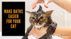 Bathe Your Cat And Come Out Scratch Free! - KittyNook Cat Company