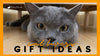 6 Gift Ideas for the Cat Lover in Your Life - KittyNook Cat Company