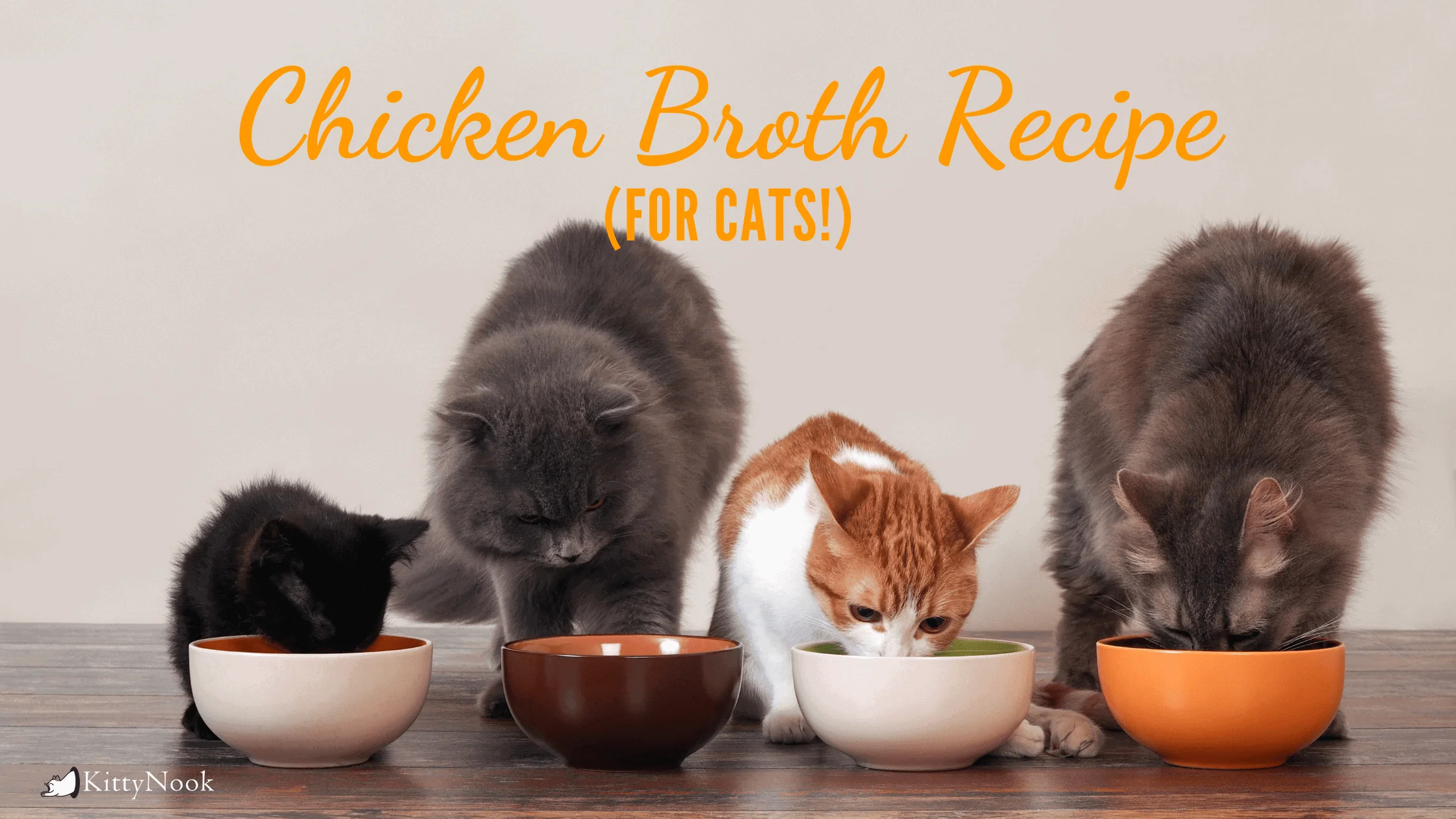 Chicken Soup As Cat Food? Know This Recipe Now! - KittyNook Cat Company