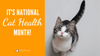 Celebrate National Cat Health Month With This Cat Health Checklist! - KittyNook Cat Company