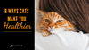 8 Different Ways That Cats Make You Healthier