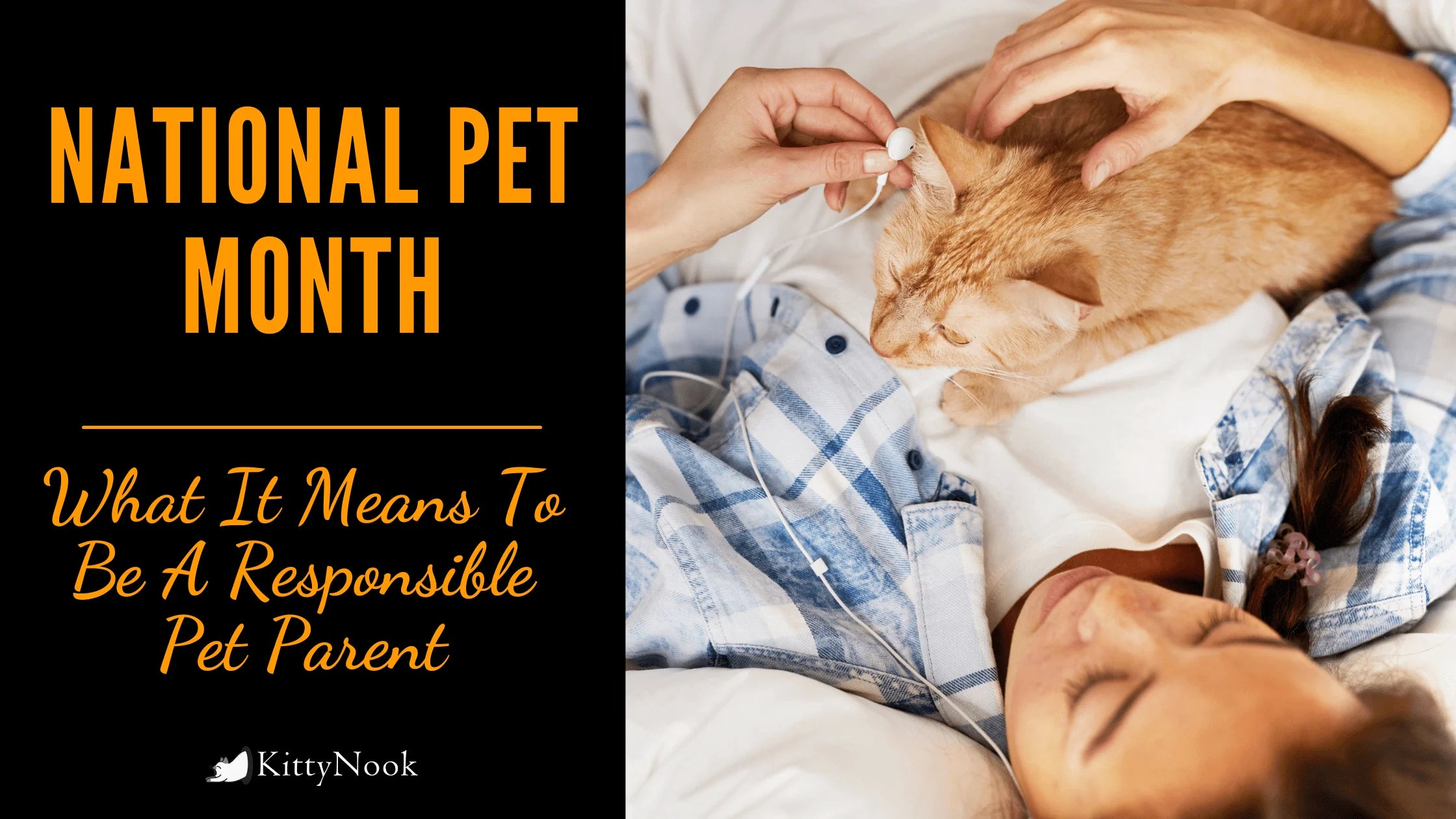 National Pet Month: What It Means To Be A Responsible Pet Parent - KittyNook Cat Company