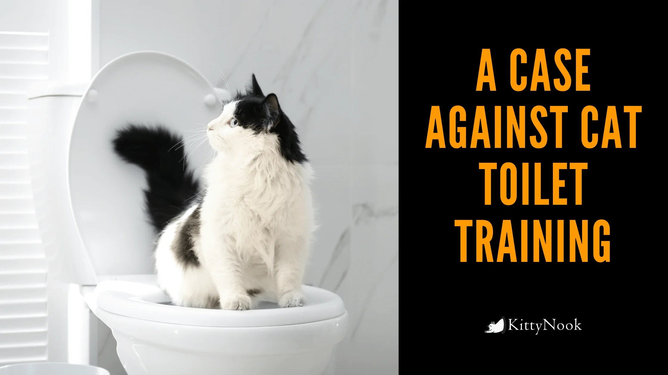 A Case Against Cat Toilet Training: 6 Reasons Not To Toilet Train Your Cat - KittyNook Cat Company