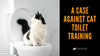 A Case Against Cat Toilet Training: 6 Reasons Not To Toilet Train Your Cat