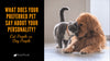 What Does Your Preferred Pet Say About Your Personality? Cat People vs. Dog People - KittyNook Cat Company