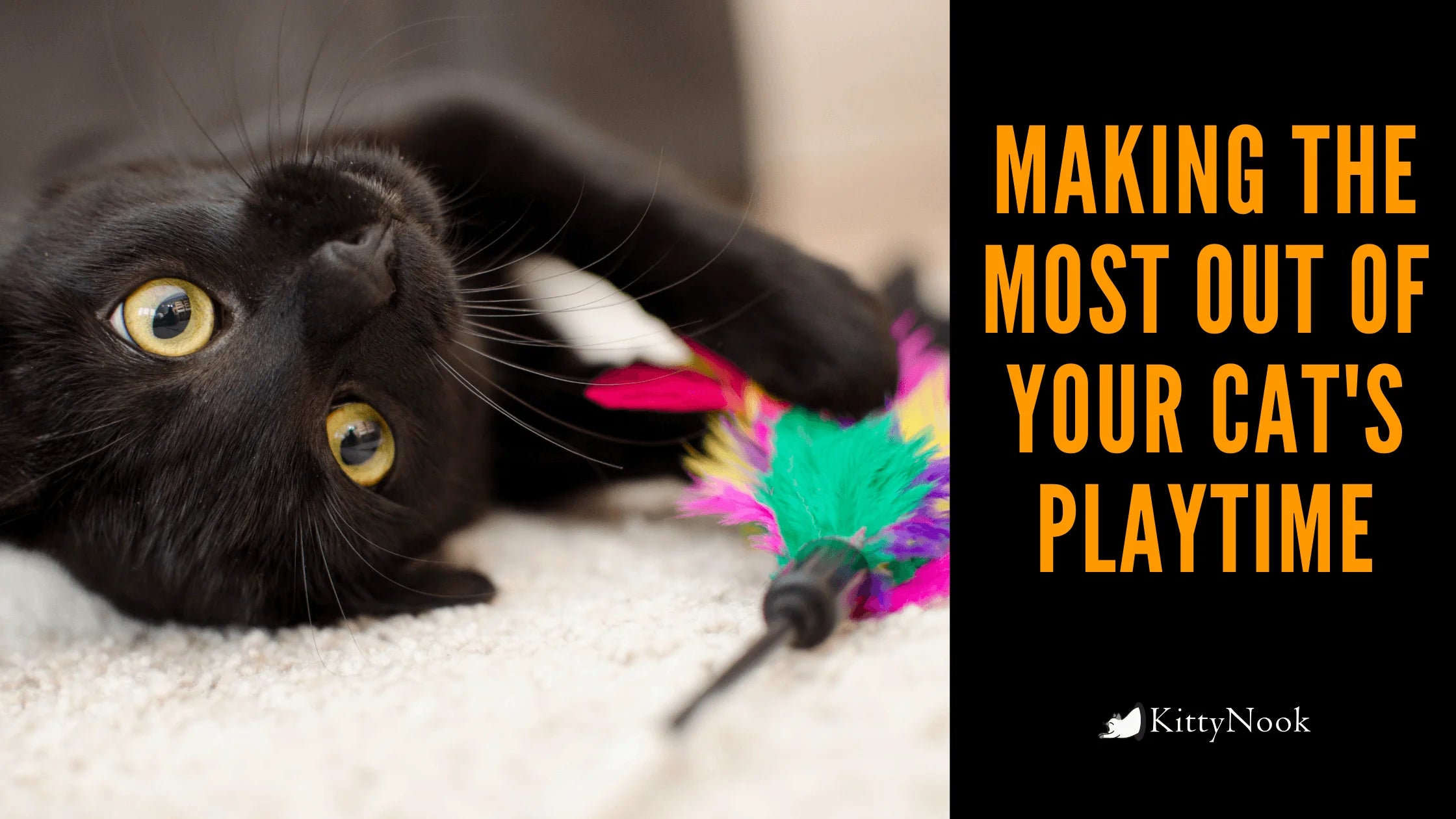Making The Most Out Of Your Cat's Playtime - KittyNook Cat Company