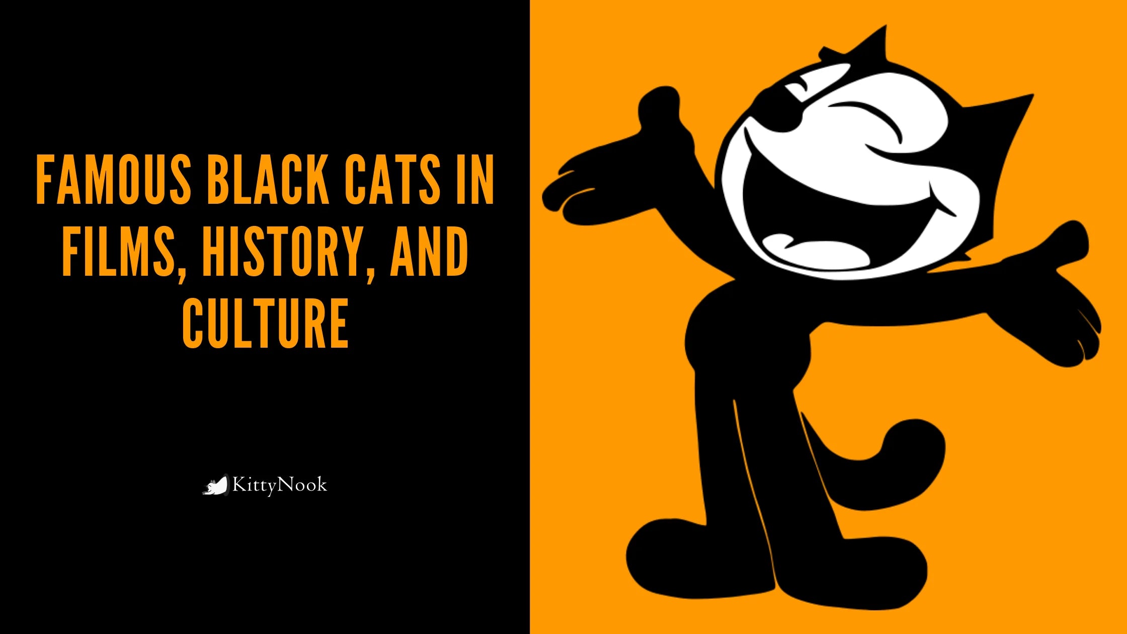 Famous Black Cats in Films, History, and Culture - KittyNook Cat Company