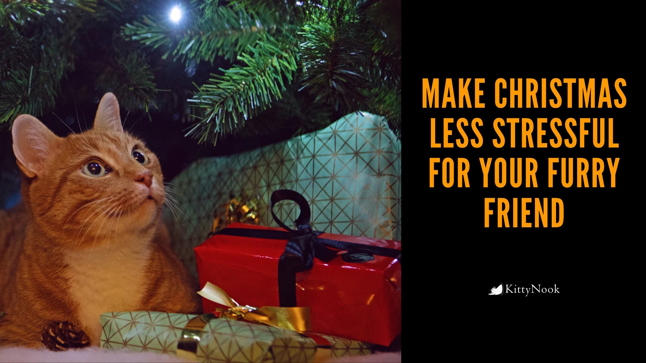 Make Christmas Less Stressful For Your Furry Friend - KittyNook Cat Company