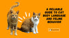 A Reliable Guide To Cat Body Language And Feline Behavior - KittyNook Cat Company
