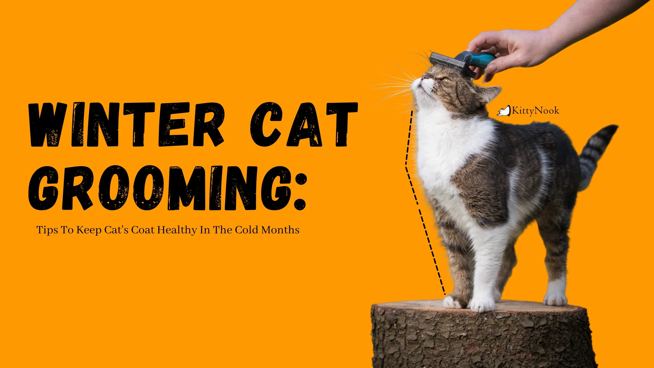 Winter Cat Grooming: Tips To Keep Cat's Coat Healthy In The Cold Months - KittyNook Cat Company
