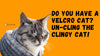 Do You Have a Velcro Cat? Un-cling the Clingy Cat!