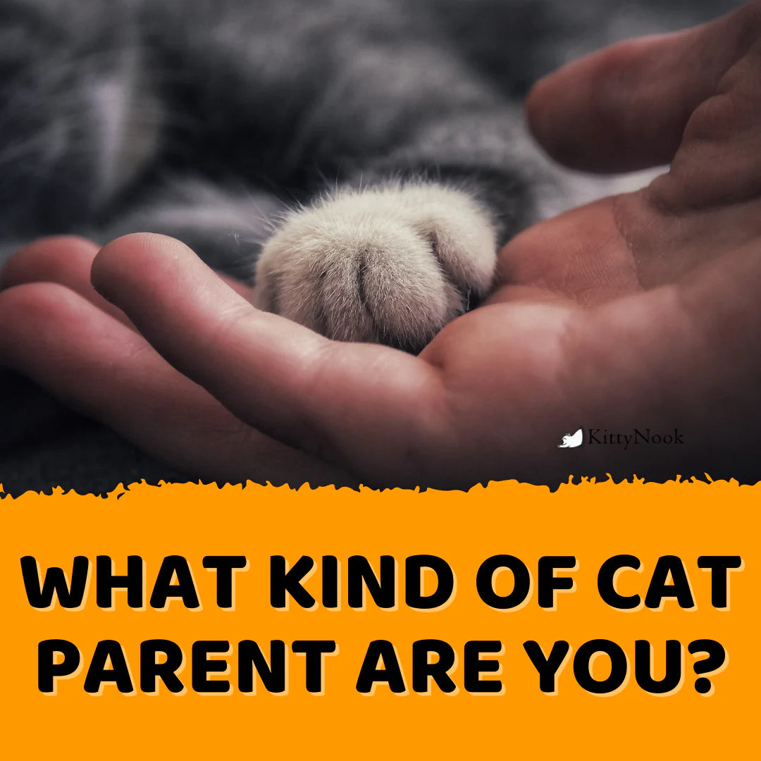 What Kind of Cat Parent Are You? - KittyNook Cat Company