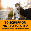 To Scruff Or Not to Scruff? The Truth About Scruffing Your Cat