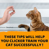 These Tips Will Help You Clicker Train Your Cat Successfully! - KittyNook Cat Company