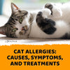 Cat Allergies: Causes, Symptoms, and Treatments - KittyNook Cat Company