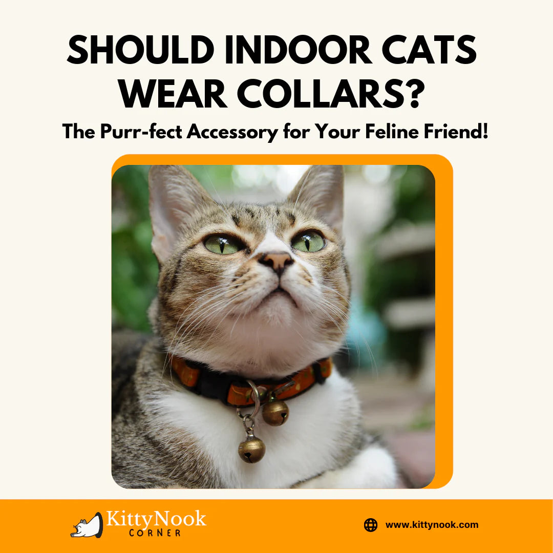 Should Indoor Cats Wear Collars? The Purr-fect Accessory for Your Feline Friend! - KittyNook Cat Company