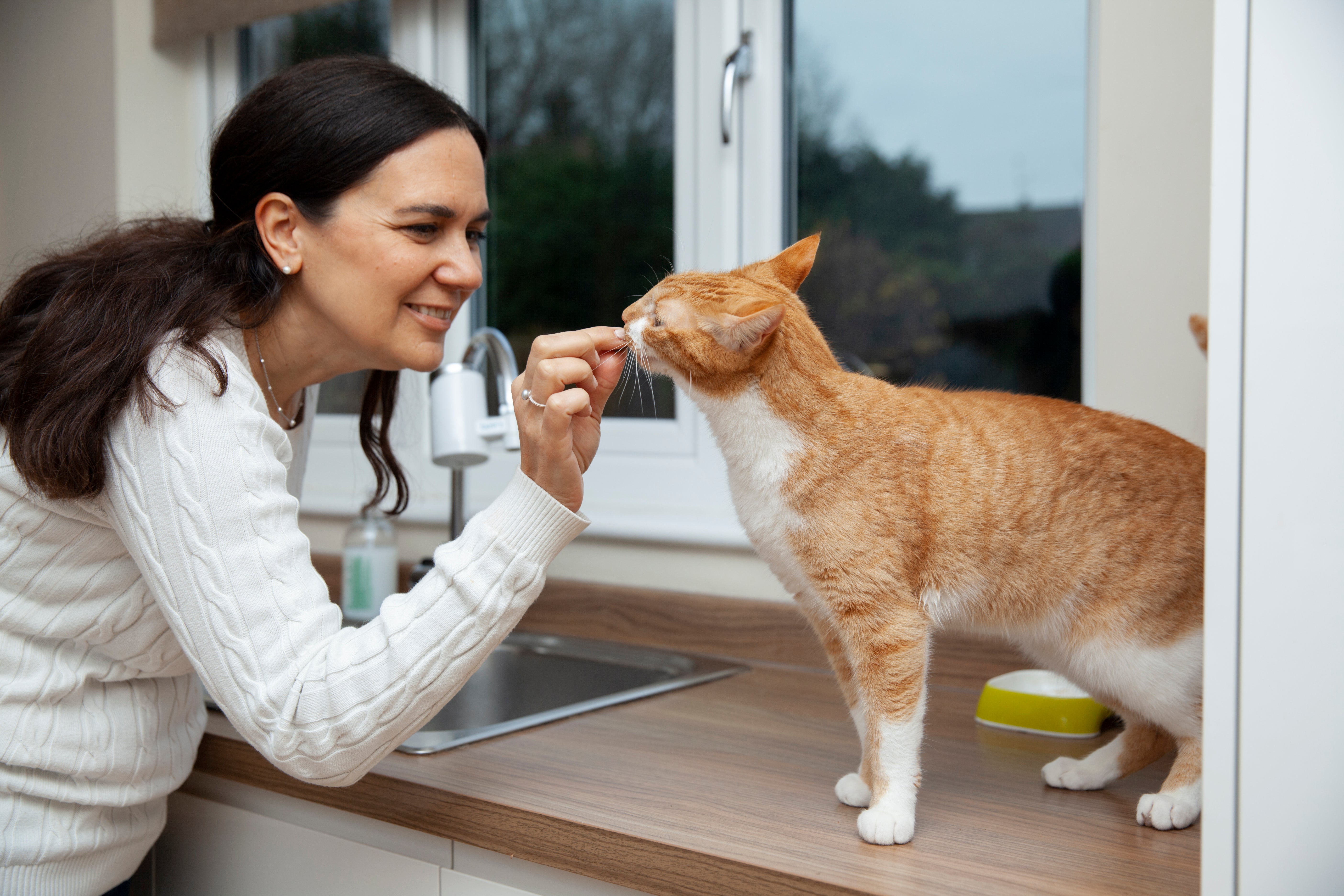 Beautiful cat and owner at home | Kitty Nook