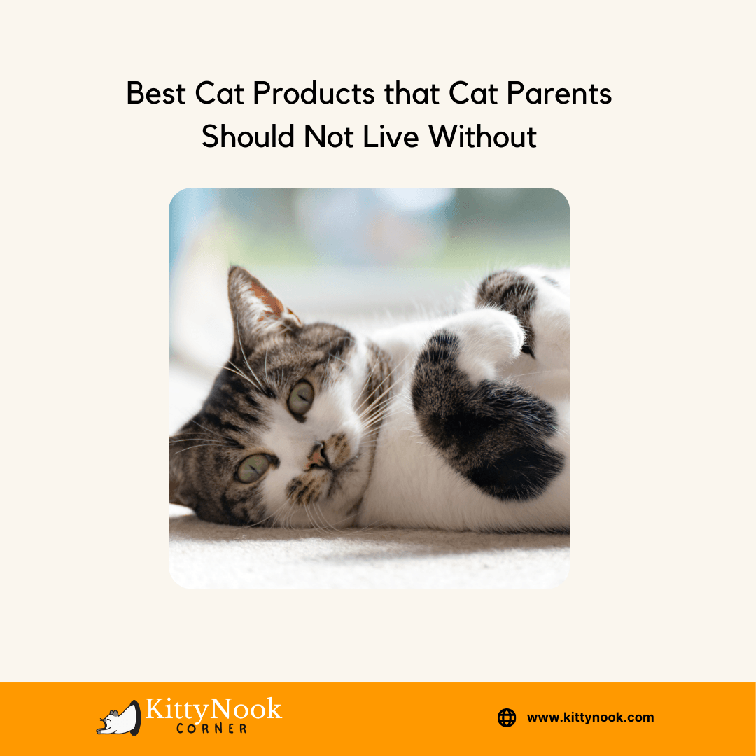 Best Cat Products that Cat Parents Should Not Live Without - KittyNook Cat Company