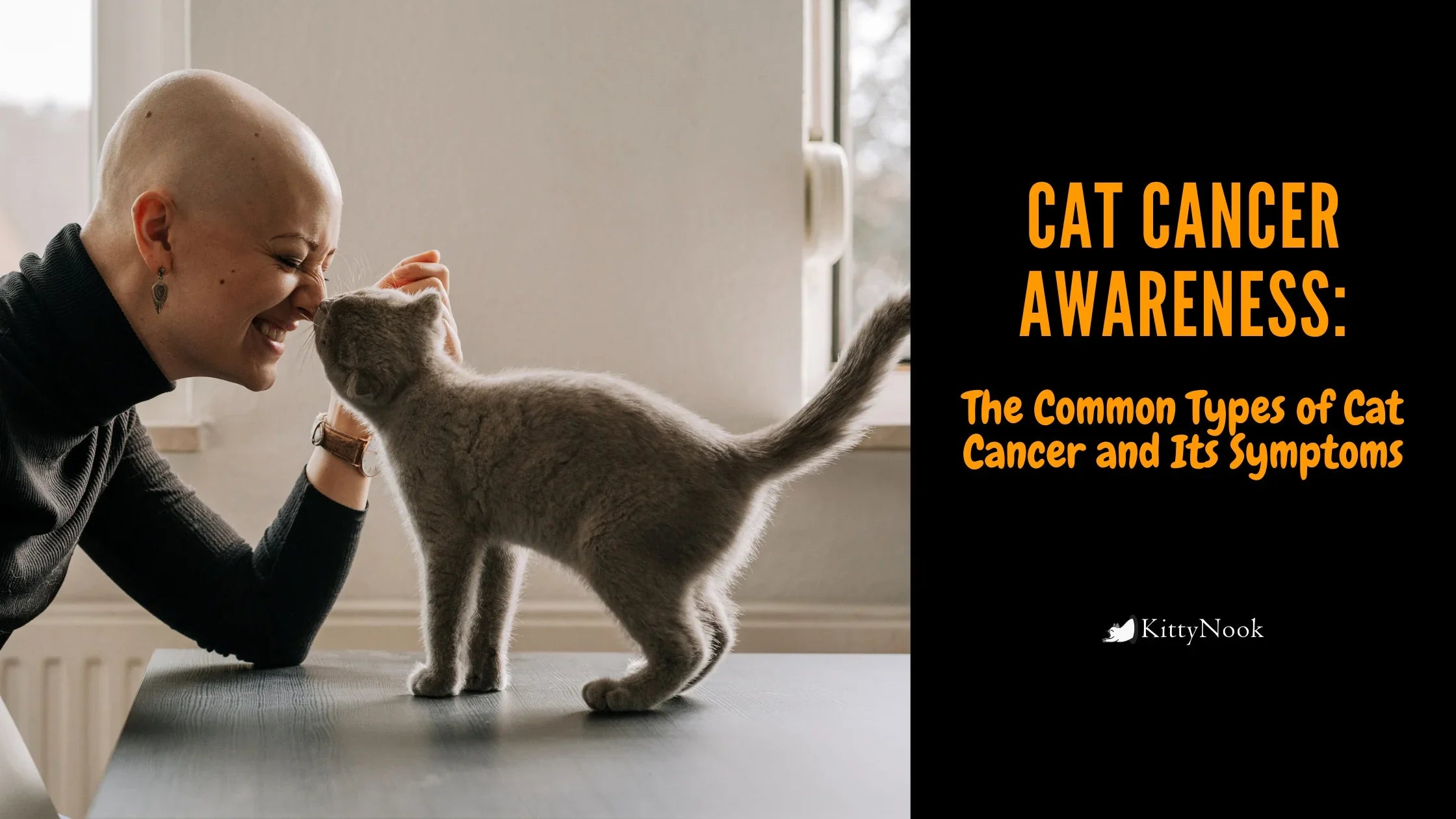 Cat Cancer Awareness: The Common Types of Cat Cancer and Its Symptoms - KittyNook Cat Company