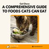 a comprehensive guide to foods cats can eat