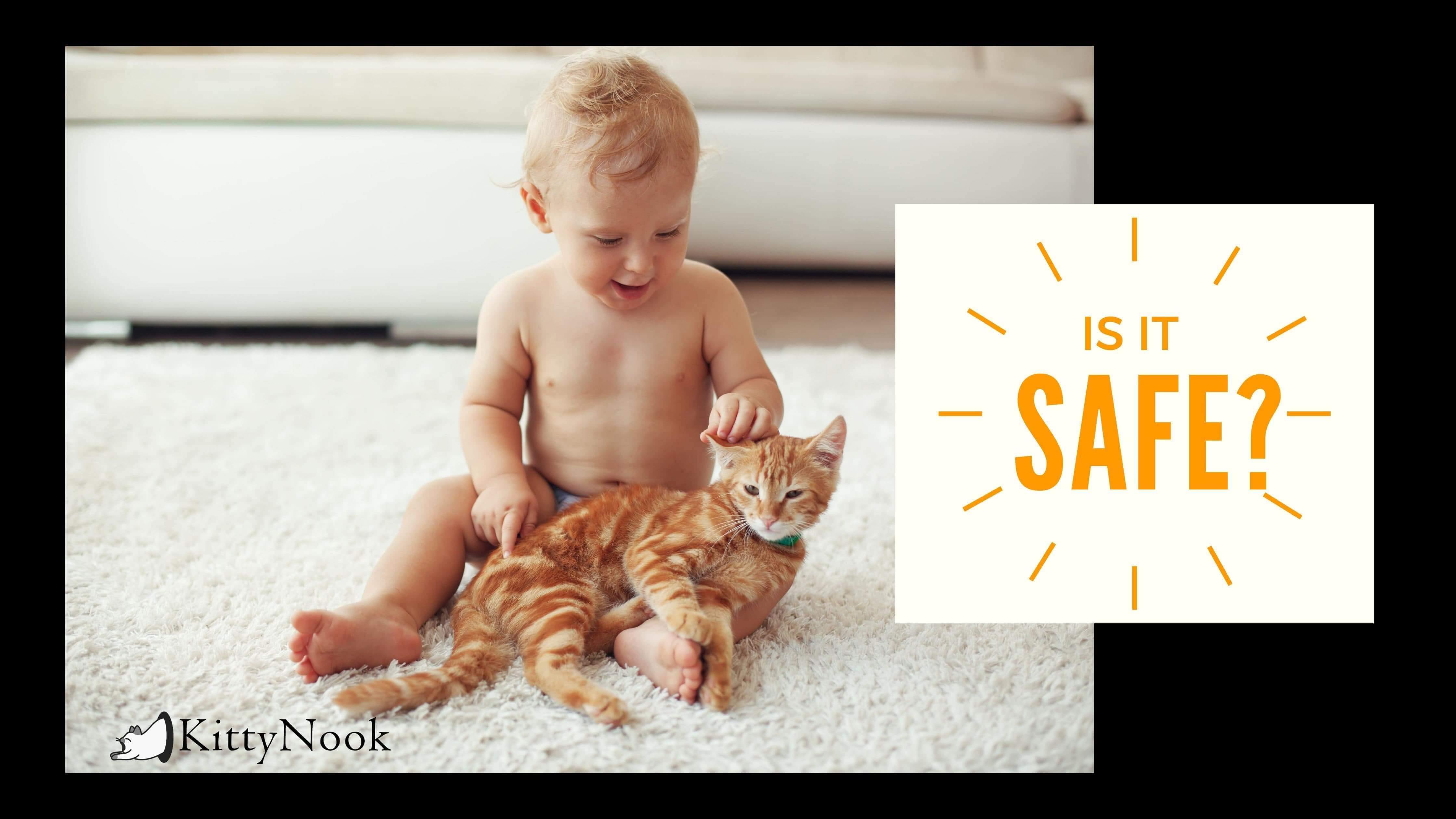 Cats and Babies: Addressing Common Concerns - KittyNook