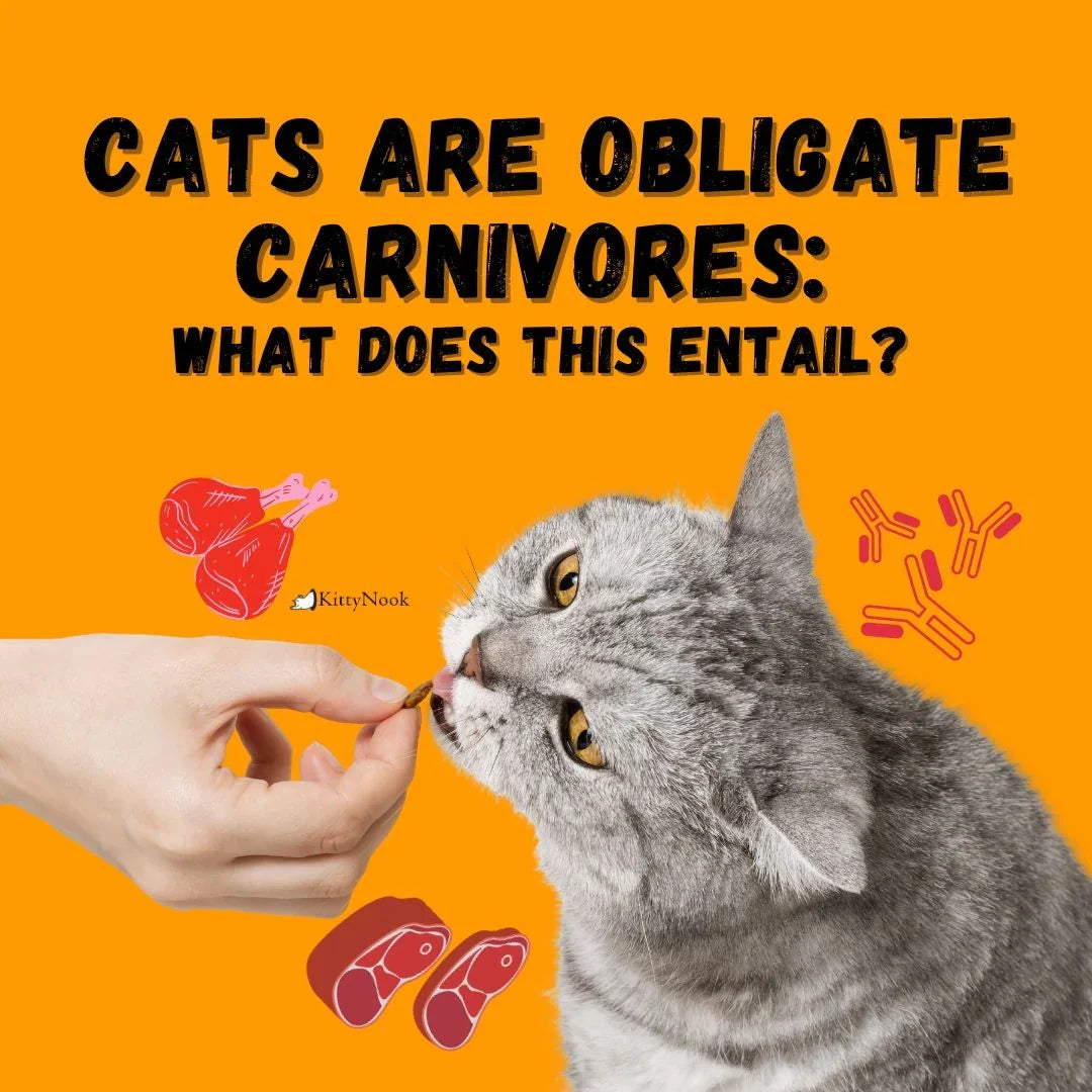 Cats Are Obligate Carnivores: What Does This Entail? - Best Cat Blog ...