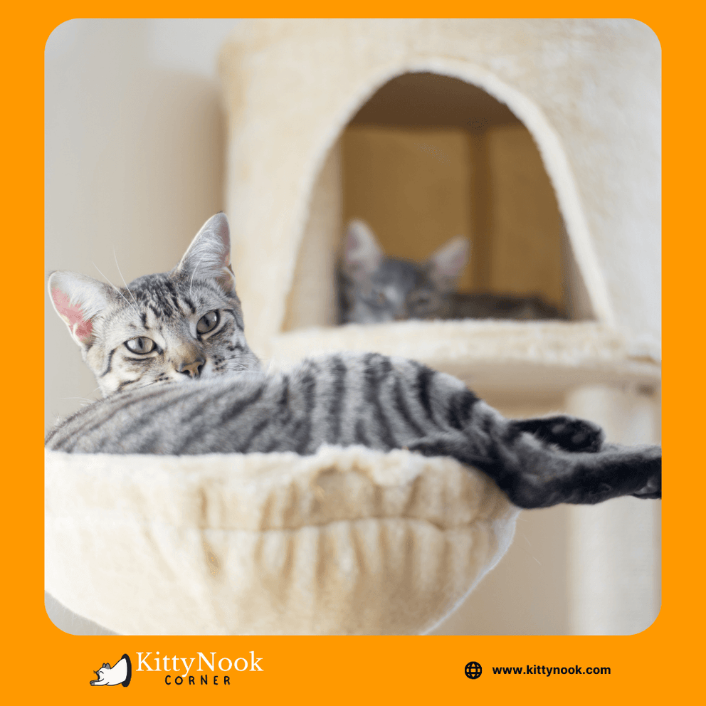 Choosing the Perfect Cat Tree for Large Cats: Top Recommendations ...