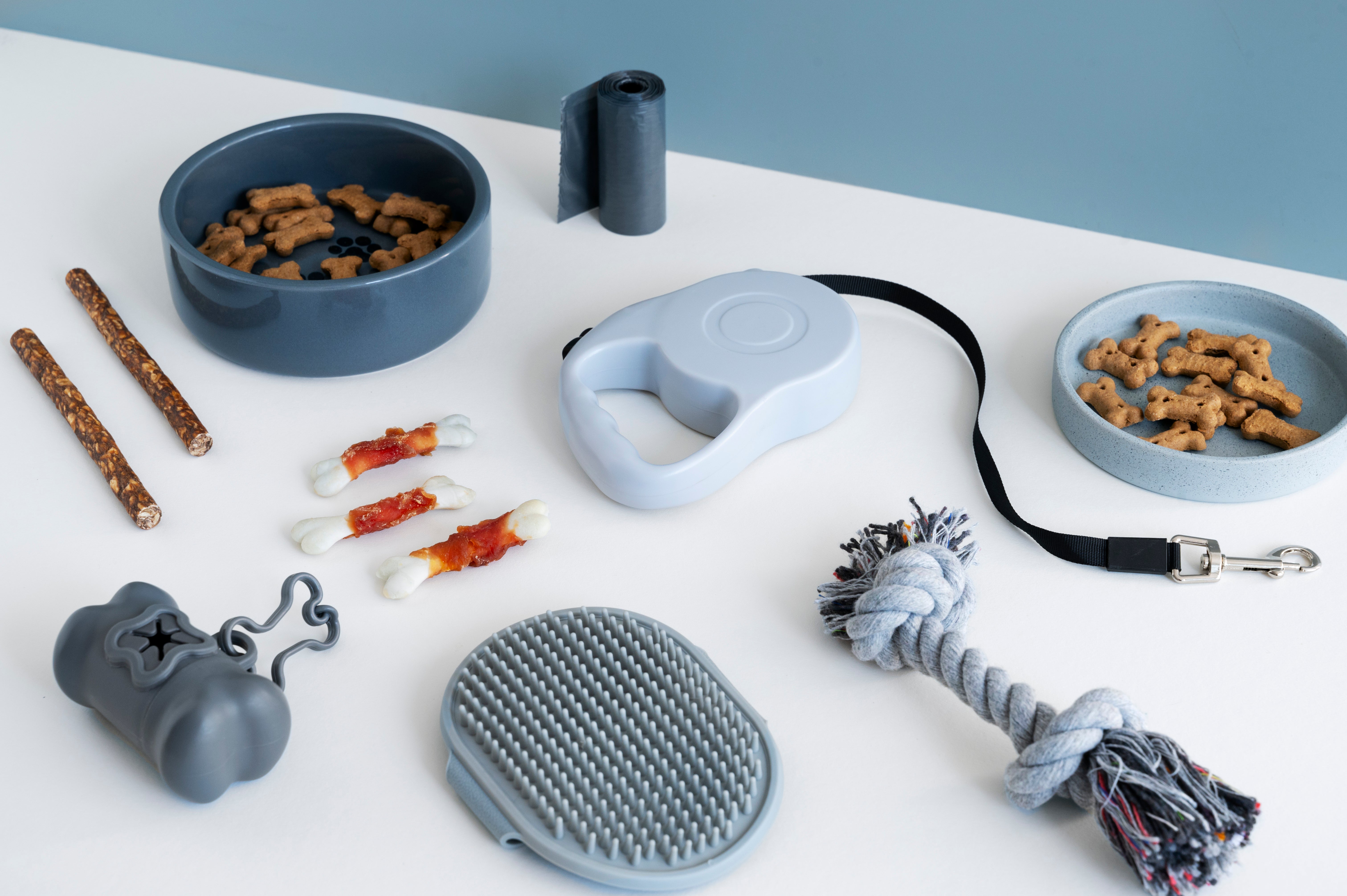 Top view over pet accessories | Kitty Nook