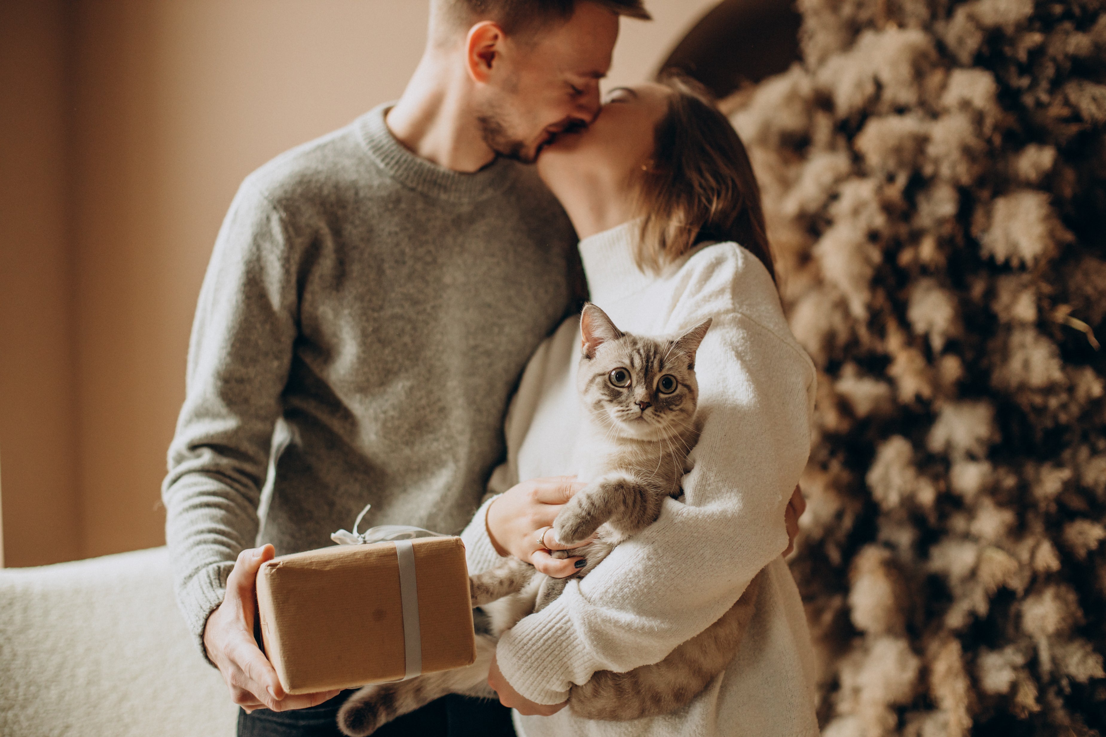 Couple with their kitten celebrating christmas | Kitty Nook