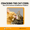Cracking the Cat Code How to Fix Common Cat Behavior Problems