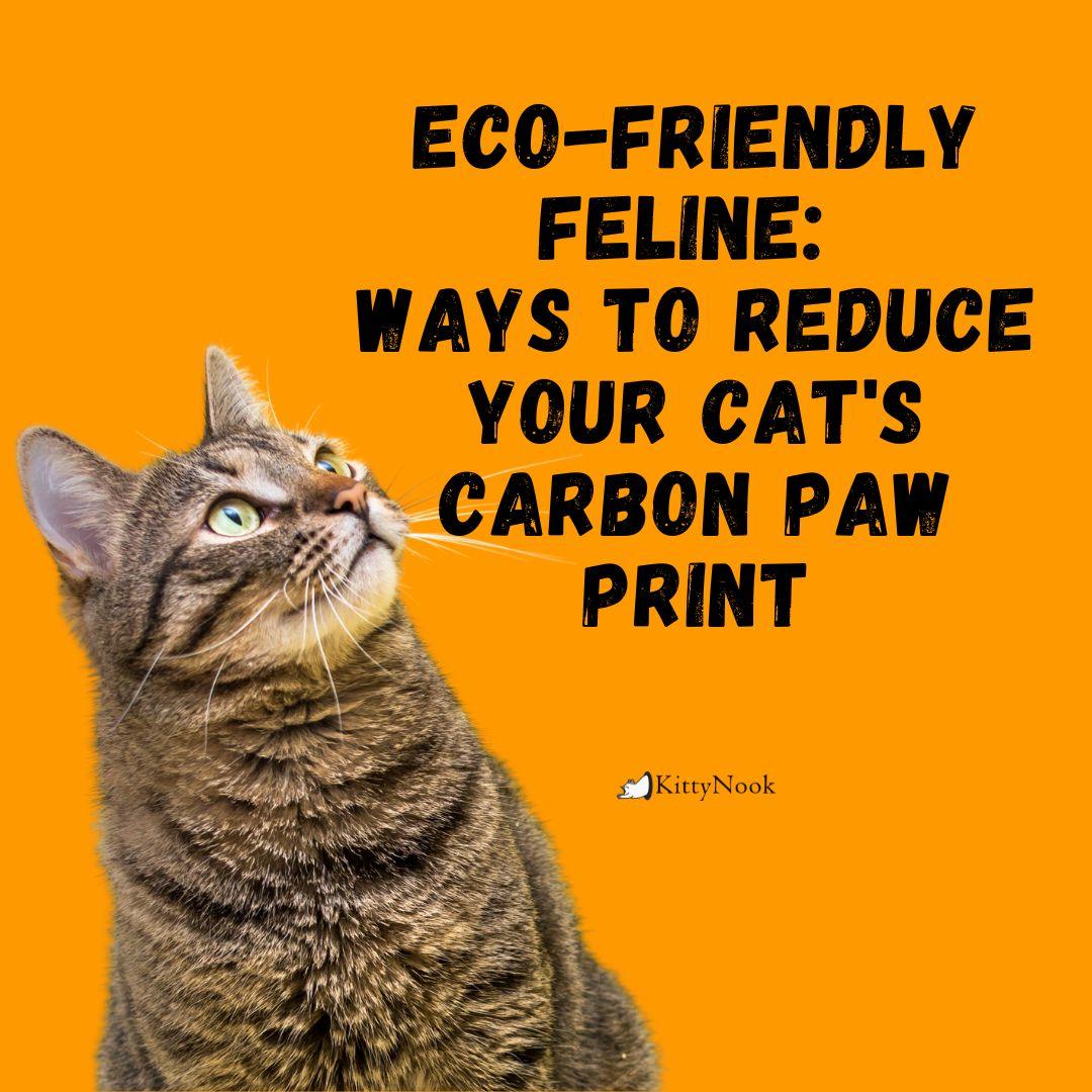 Eco-Friendly Feline: Ways to Reduce Your Cat's Carbon Paw Print - KittyNook Cat Company