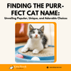 Finding the right cat names
