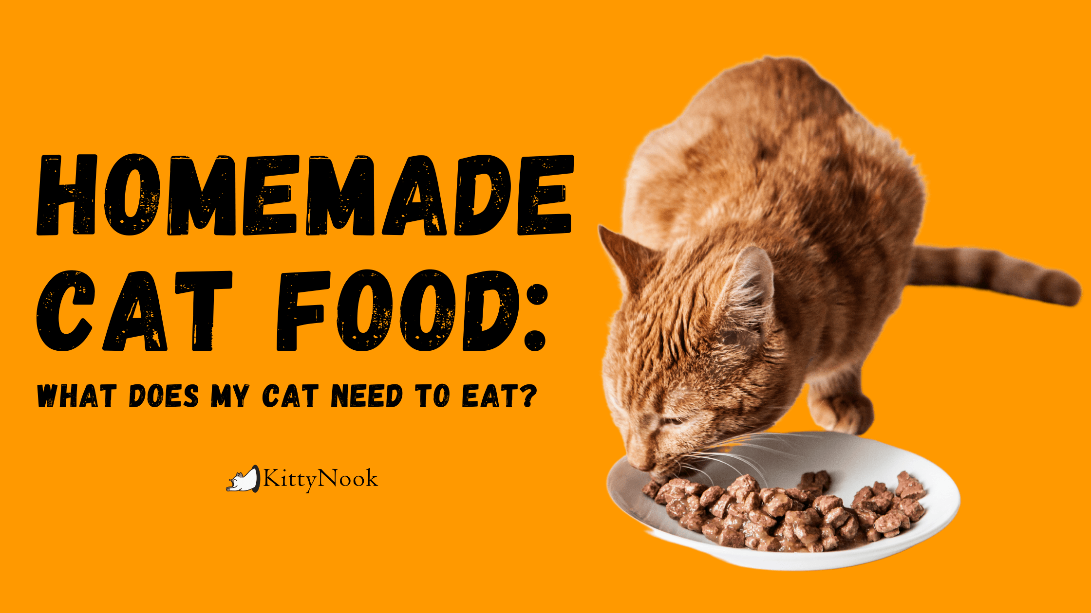 homemade cat food text in yellow background
