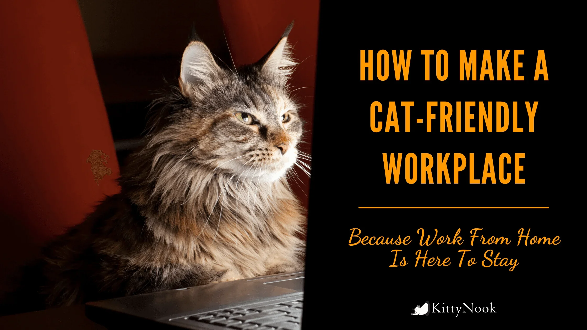 How to Make a Cat-Friendly Workplace—Because Work From Home Is Likely Here To Stay For Awhile - KittyNook Cat Company