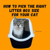 How to Pick the Right Litter Box Size For Your Cat