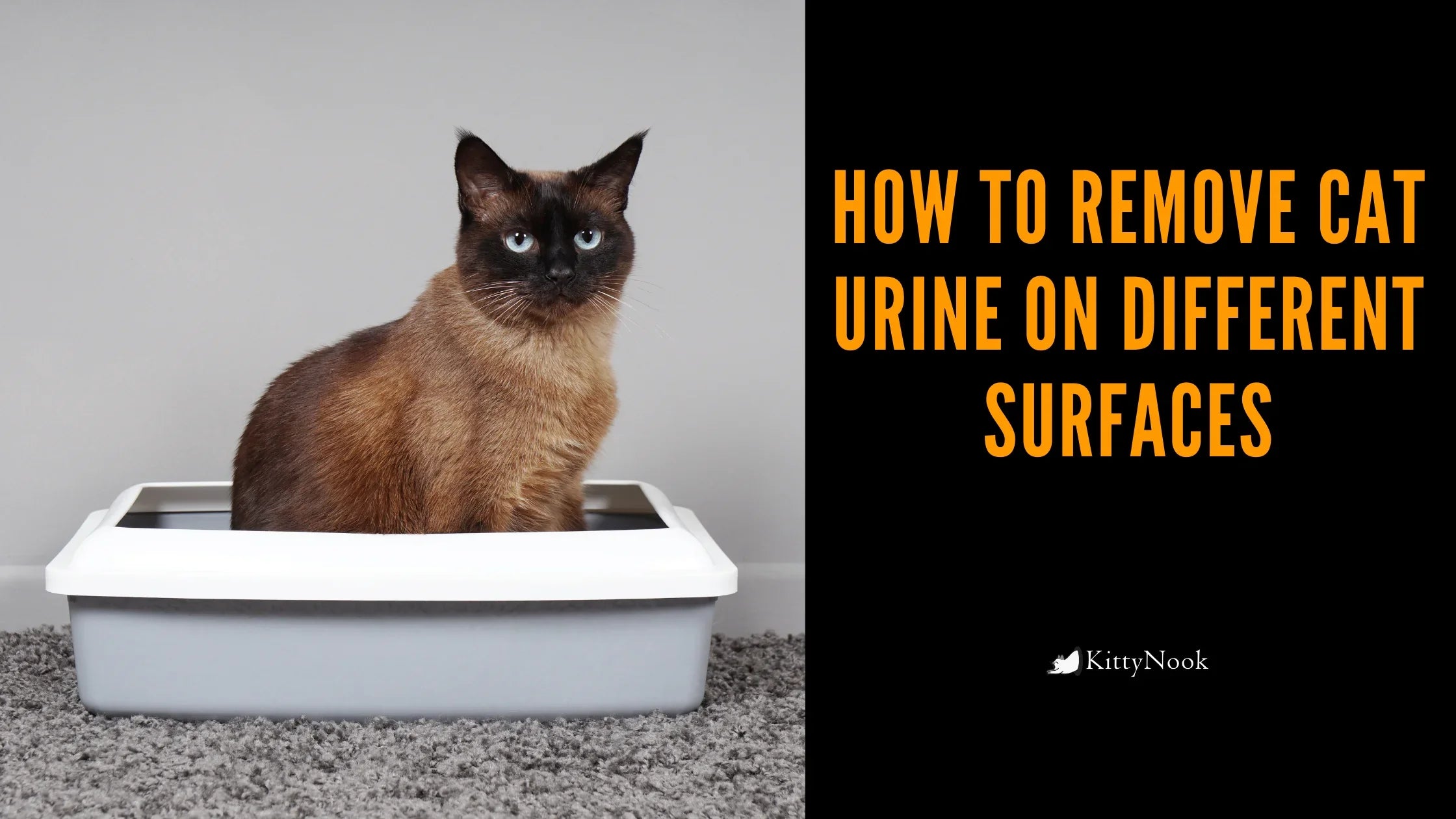 How to Remove Cat Urine On Different Surfaces - KittyNook Cat Company