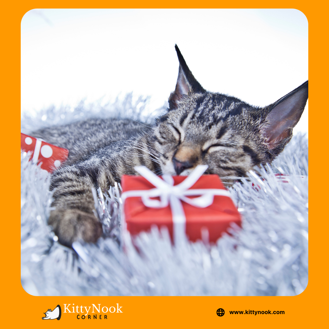 How Your Cat Can Help You Deal With Loneliness Throughout the Holidays