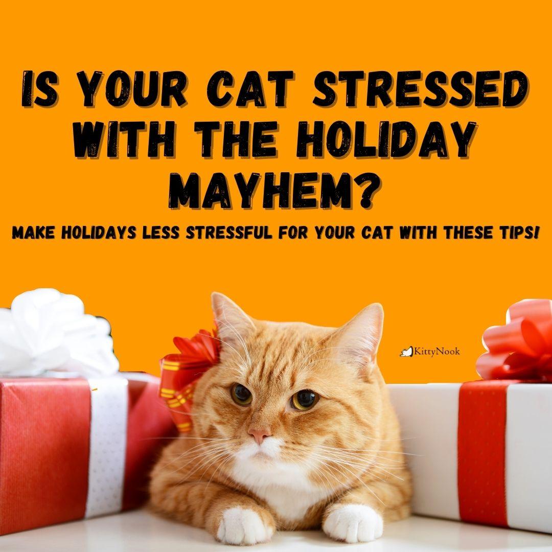 Is Your Cat Stressed With the Holiday Mayhem? Make Holidays Less Stressful for Your Cat With These Tips!