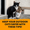 Keep Your Outdoor Cats Safer with these Tips!