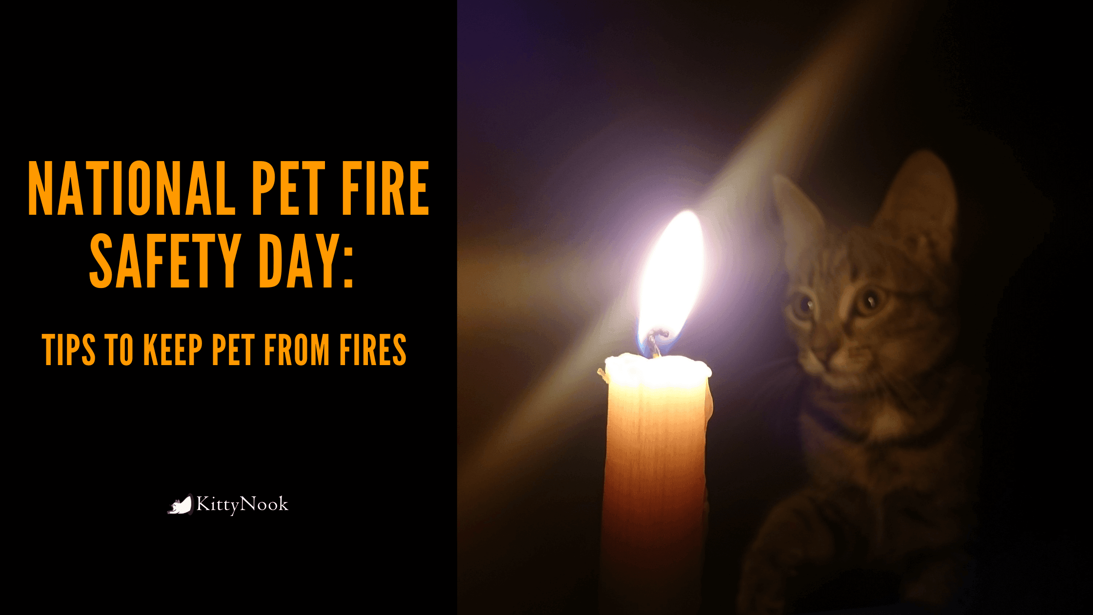 'National Pet Fire Safety Day' Tips to Keep Pet from Fires - KittyNook