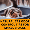 Natural Cat Odor Control Tips for Small Spaces