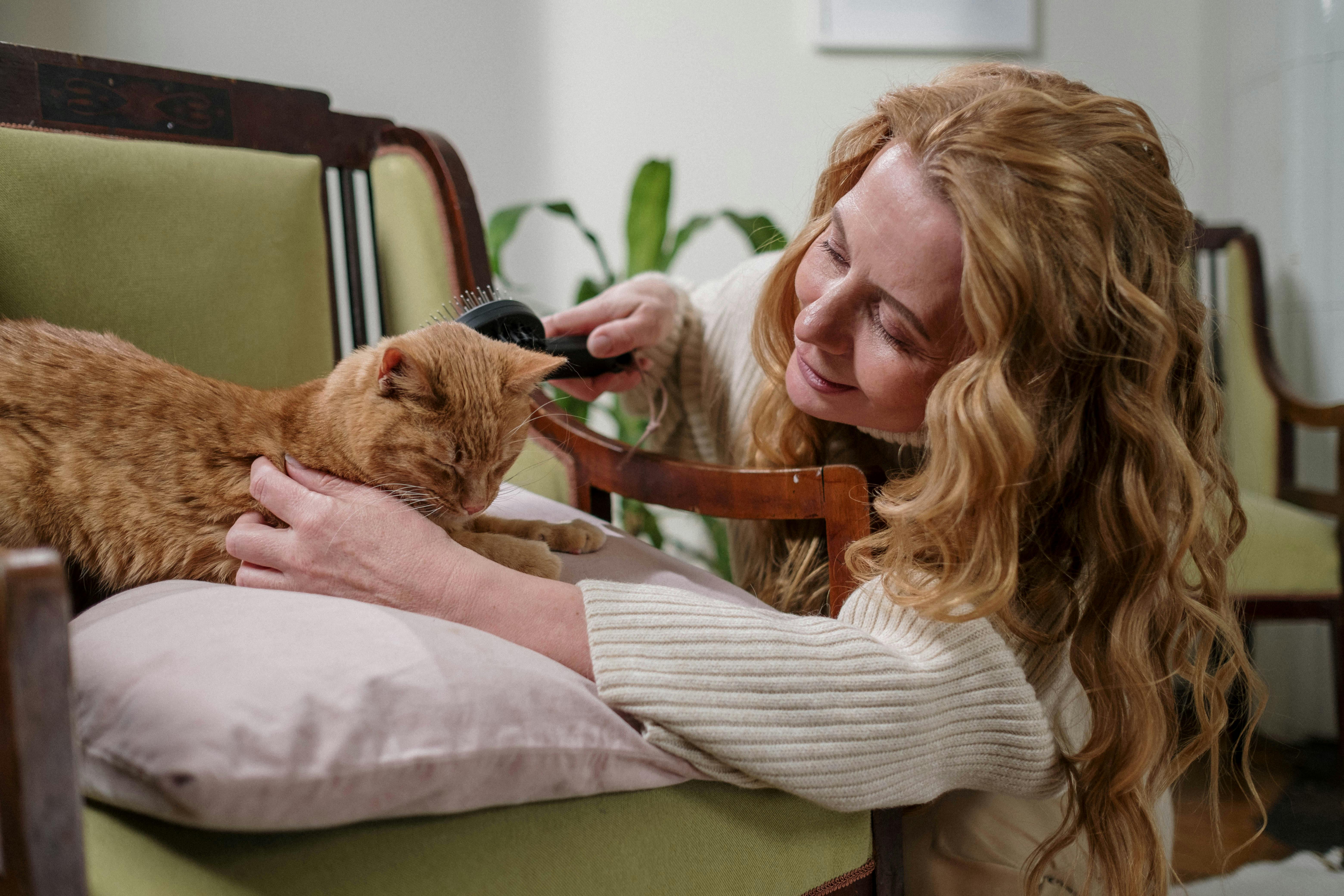 Smiling woman brushing a relaxed ginger cat | Kitty Nook
