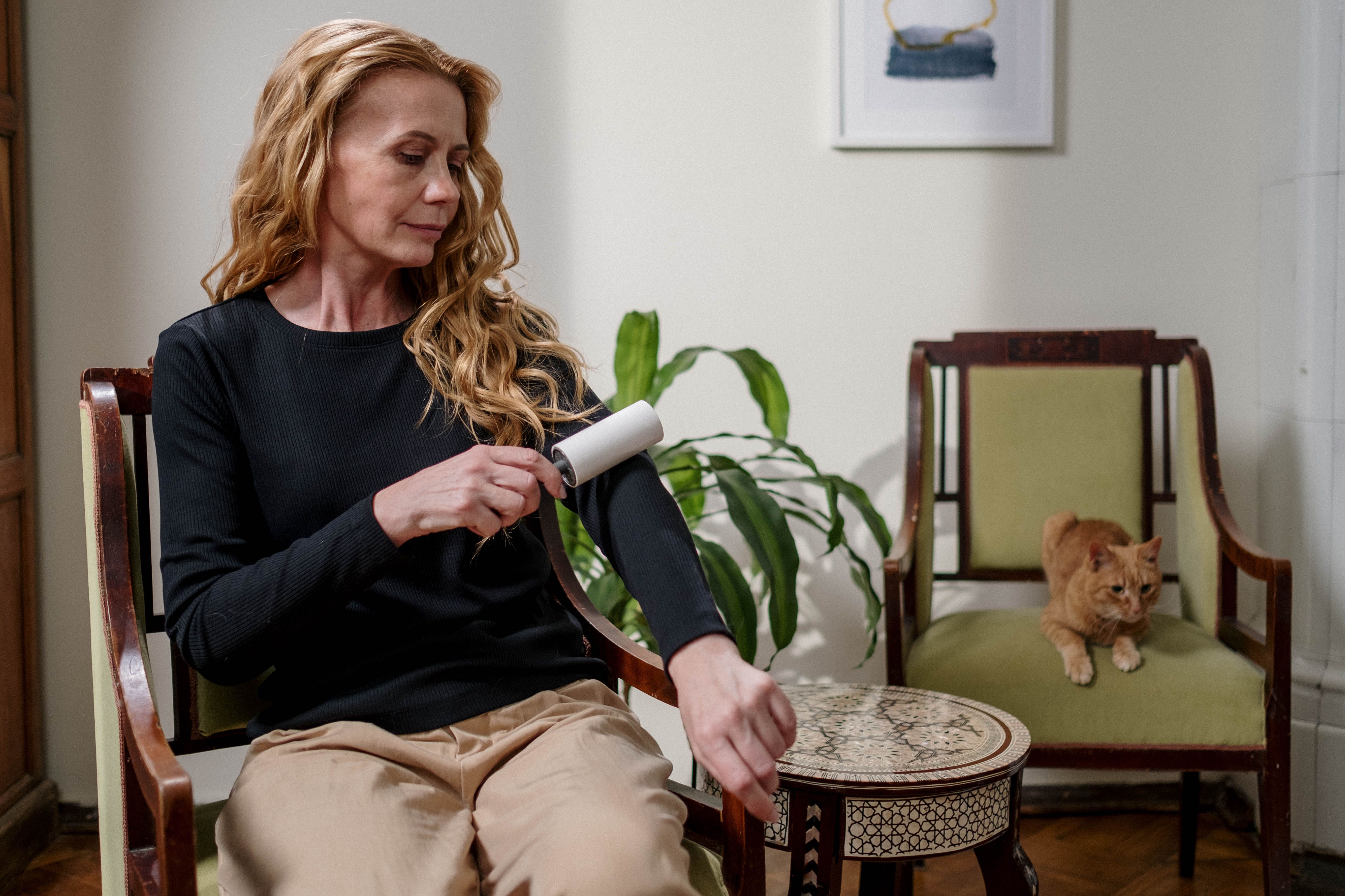 Best Lint Remover for Cat Parents With Rhinitis Allergy | Kitty Nook