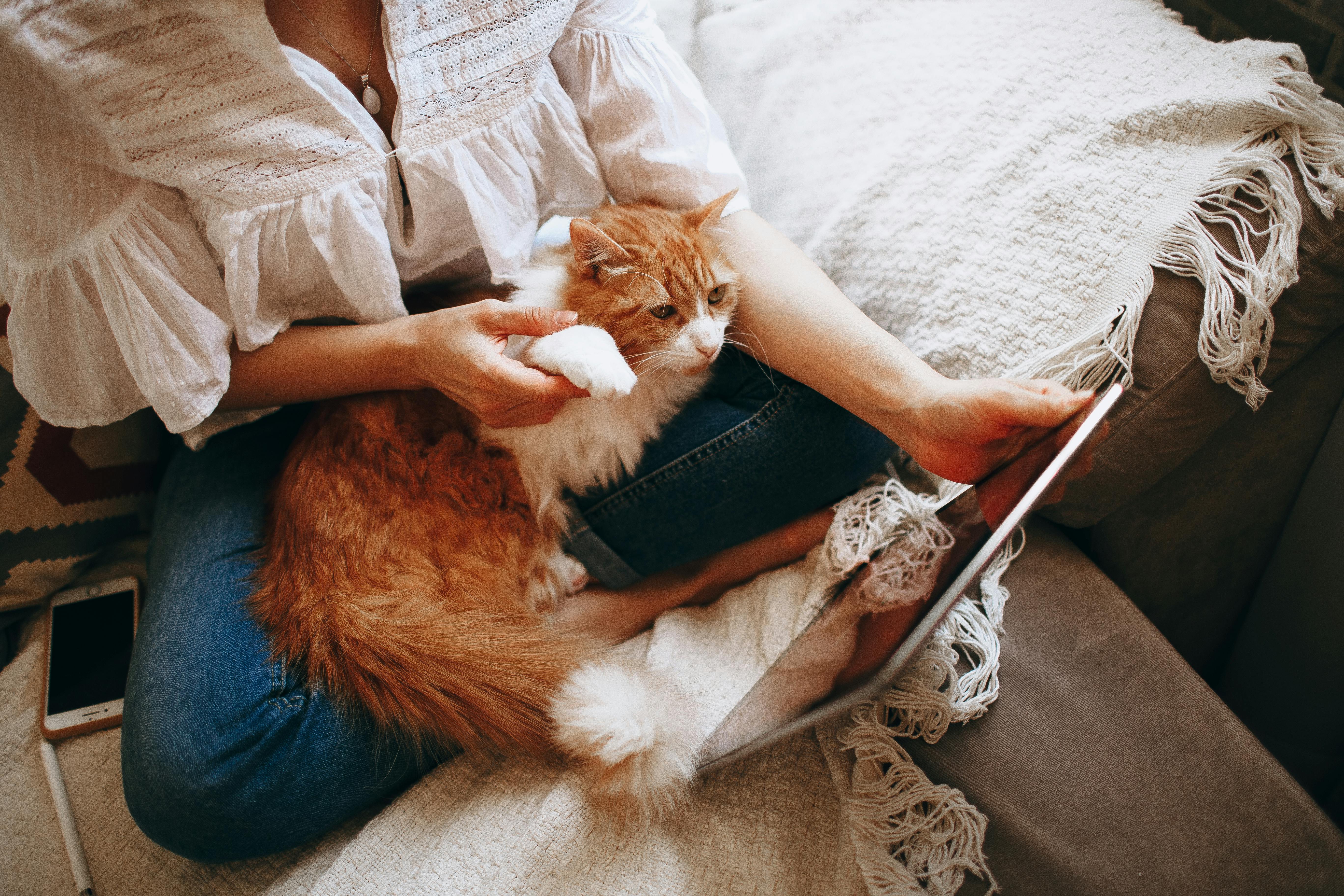 Young woman enjoying a relaxing moment with her cat on a comfortable sofa | Kitty Nook