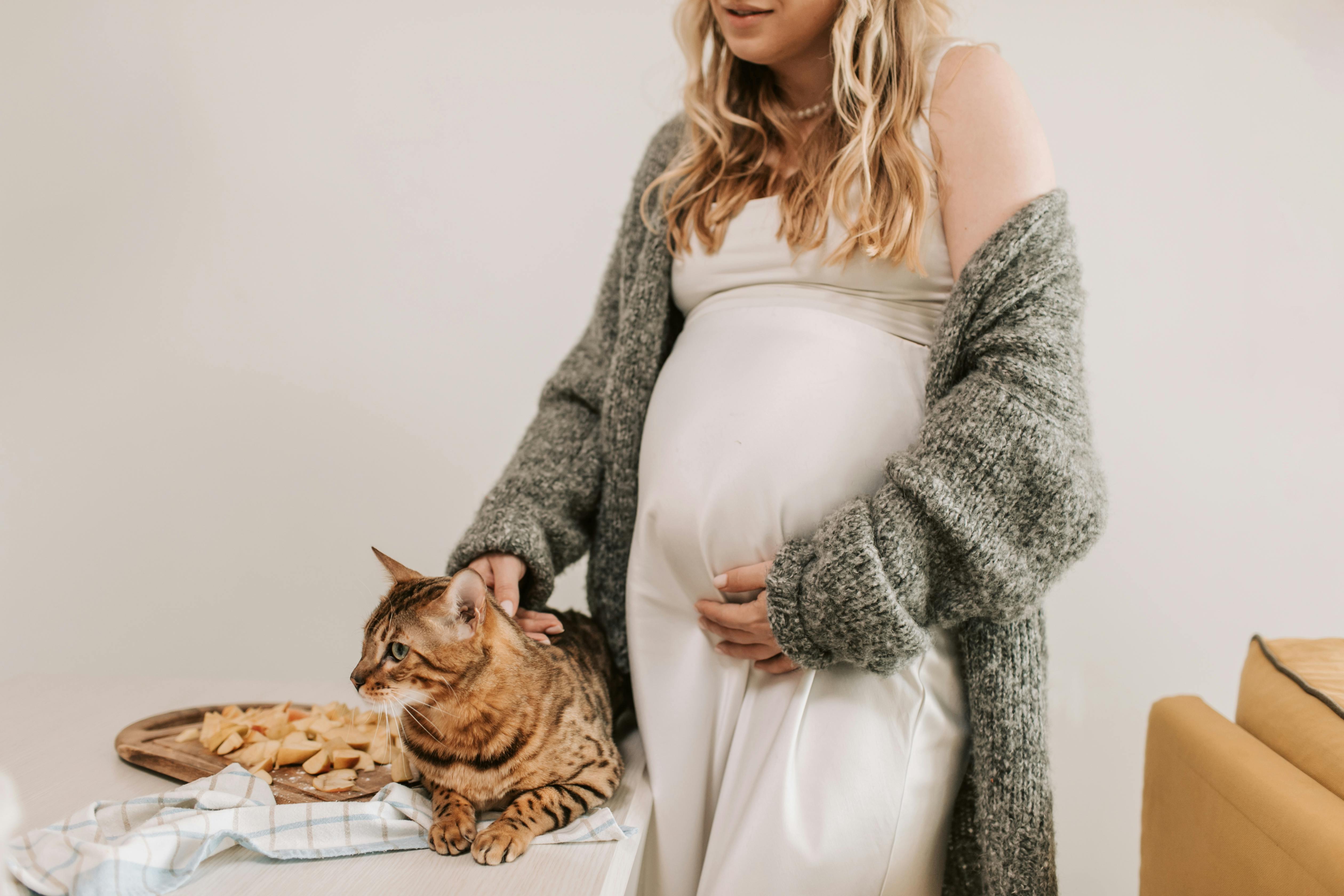 Pregnant woman and a cat sitting in the table | Kitty Nook