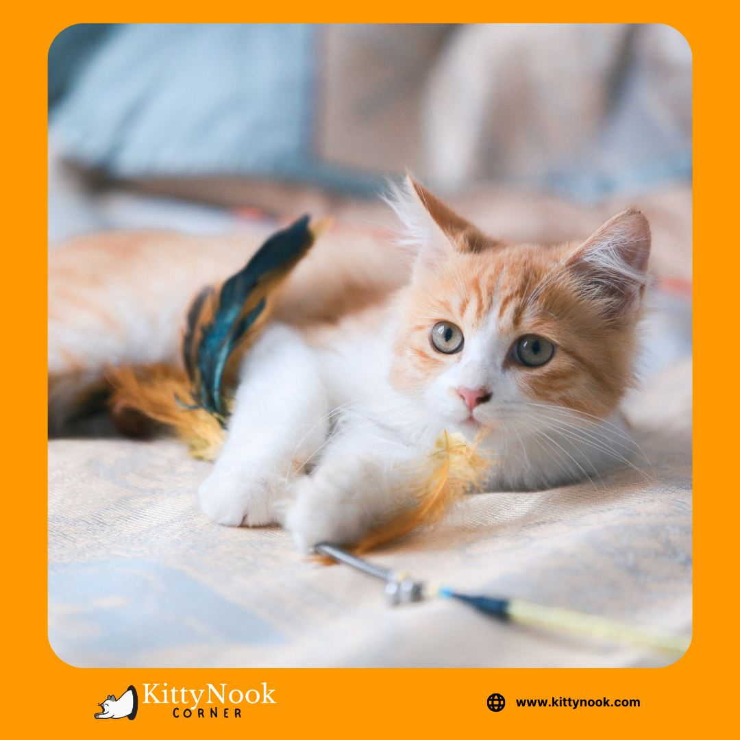 Purr-fect Playtime_ Discovering the Best Cat Toys for Your Feline Friend