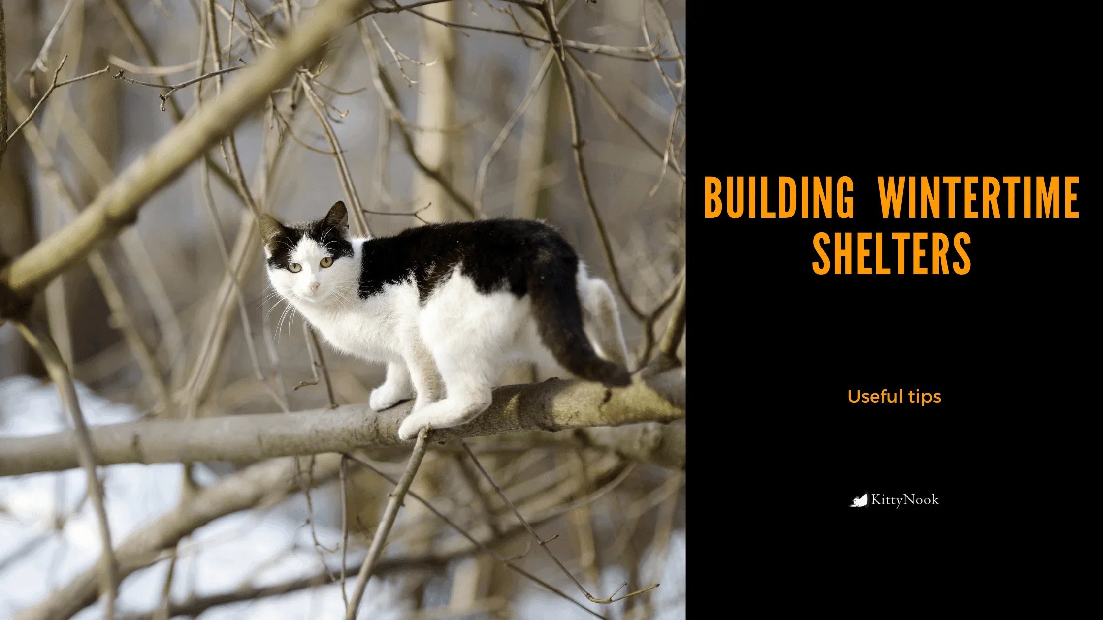 Some Tips in Building Wintertime Shelters for Community Cats - KittyNook Cat Company