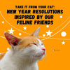 Take It From Your Cat: New Year Resolutions Inspired by Our Feline Friends
